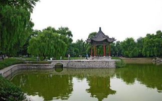 邢臺(tái)人的一封辭職信火了,朋友圈已傳瘋...