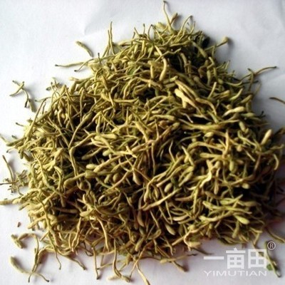 藥用金銀花河北邢臺(tái)威縣_批發(fā)_供應(yīng)-一畝田農(nóng)業(yè)網(wǎng)_專(zhuān)業(yè)的農(nóng)產(chǎn)品信息商務(wù)平臺(tái)