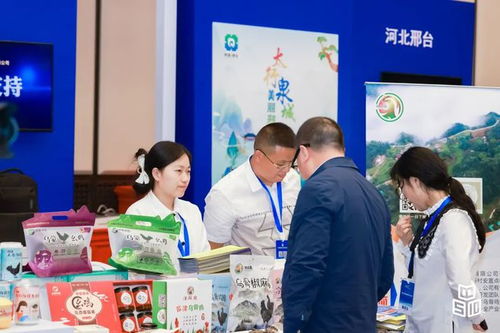 太行泉城 美麗邢臺(tái) 城市品牌 亮相2023中國(guó)品牌日