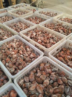 邢臺50萬斤柿子餅滯銷,急壞果農!