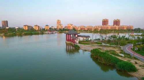 太行泉城 美麗邢臺 清涼江畔生態美 又見白鷺舞翩躚