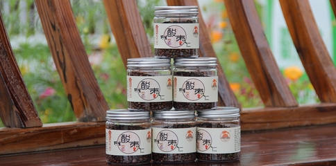 邢臺百里酸棗產業帶