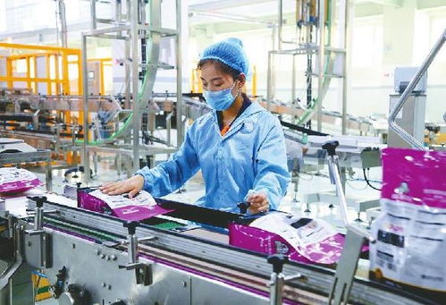 擦亮寵物食品行業 邢臺名片