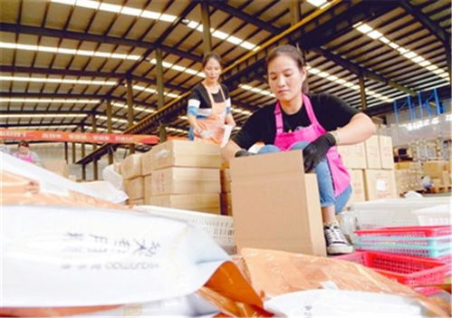 邢臺南和區(qū)寵業(yè)電商促發(fā)展