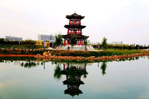 太行泉城 美麗邢臺(tái) 記者一線聽(tīng)泉聲 之茶棚溝