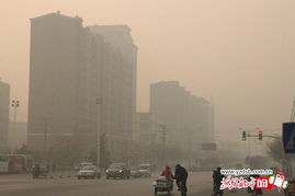 河北邢臺百余名孩子霧霾中跑步鍛煉