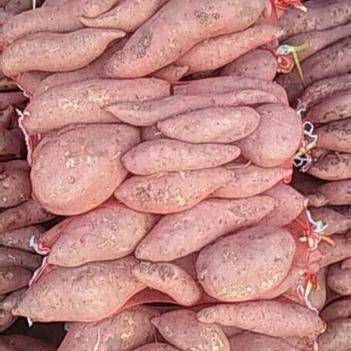 農產品批發供應商魏廣勝 - 惠農網電腦版