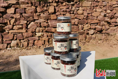 聽故事品酸棗 河北邢臺信都區(qū)最美酸棗古樹等你來尋!