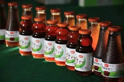 百里酸棗紅太行 邢仁藥香譽塞上--邢臺縣百里酸棗產業就這樣建成了!