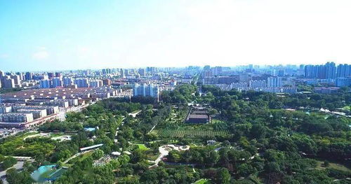 大動作 邢臺最新城市規劃 邢臺要起飛了