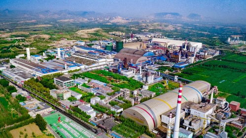 德龍鋼鐵躋身世界500強，新天鋼集團邁入高質量發展新階段